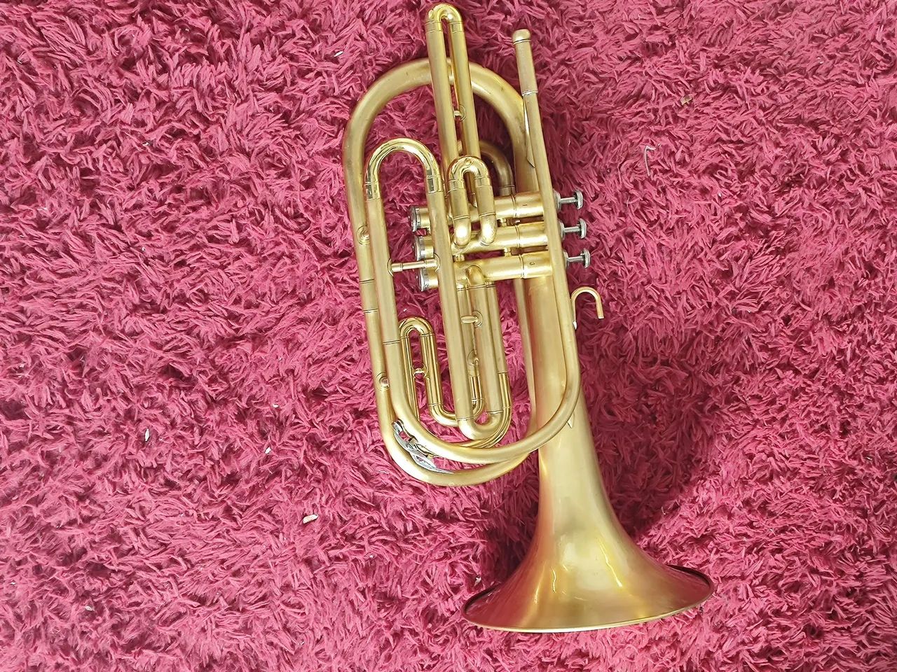 Trombonito BM - Foto 4
