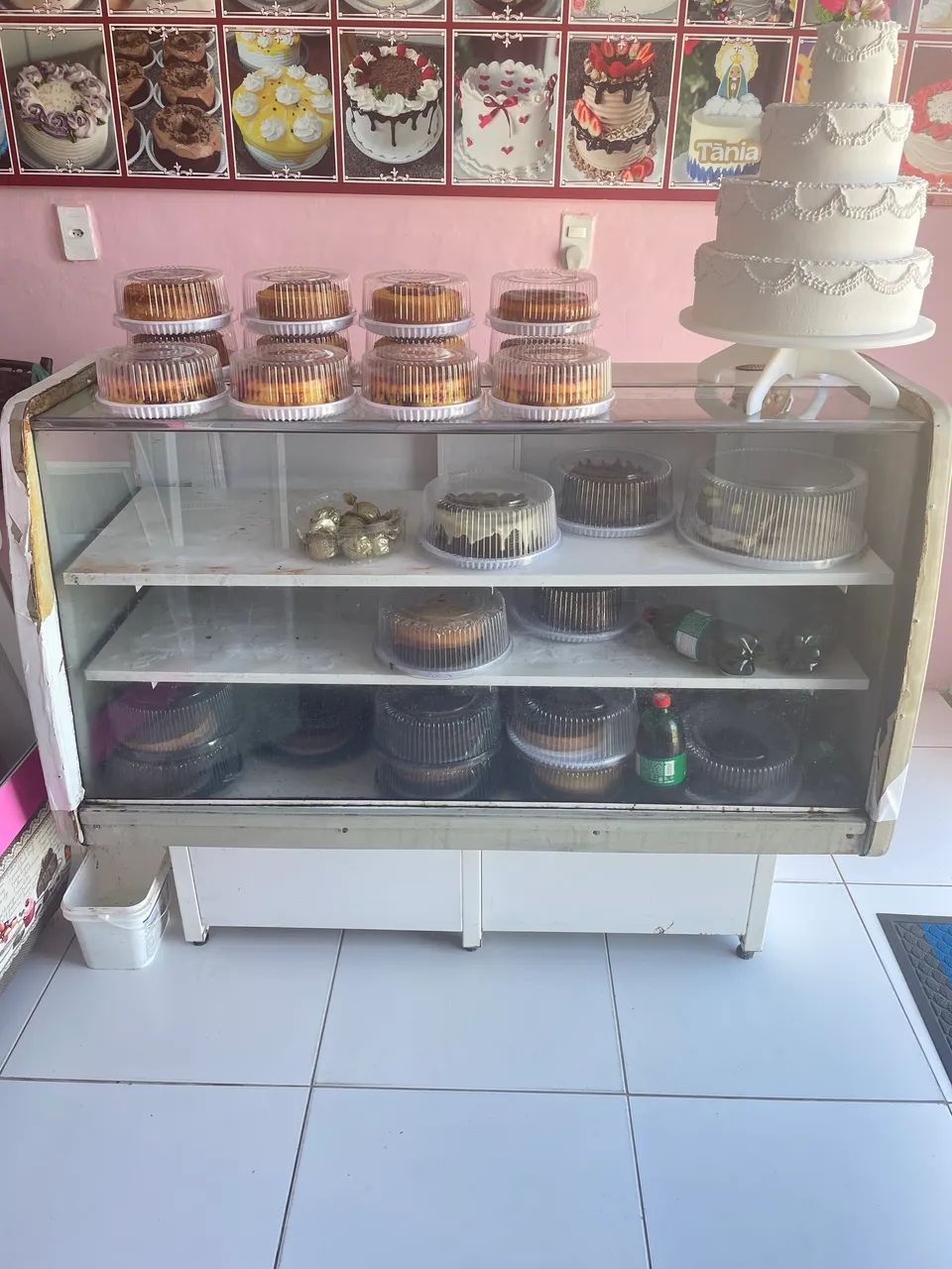 Freezer expositor