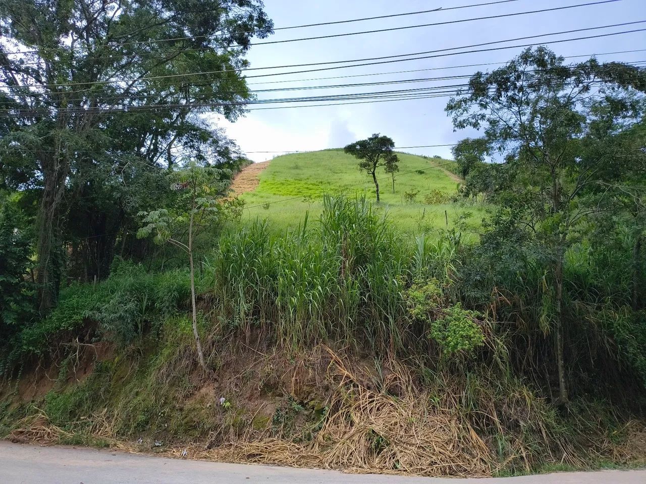 Oportunidade ! Venda                                                                       - Foto 3