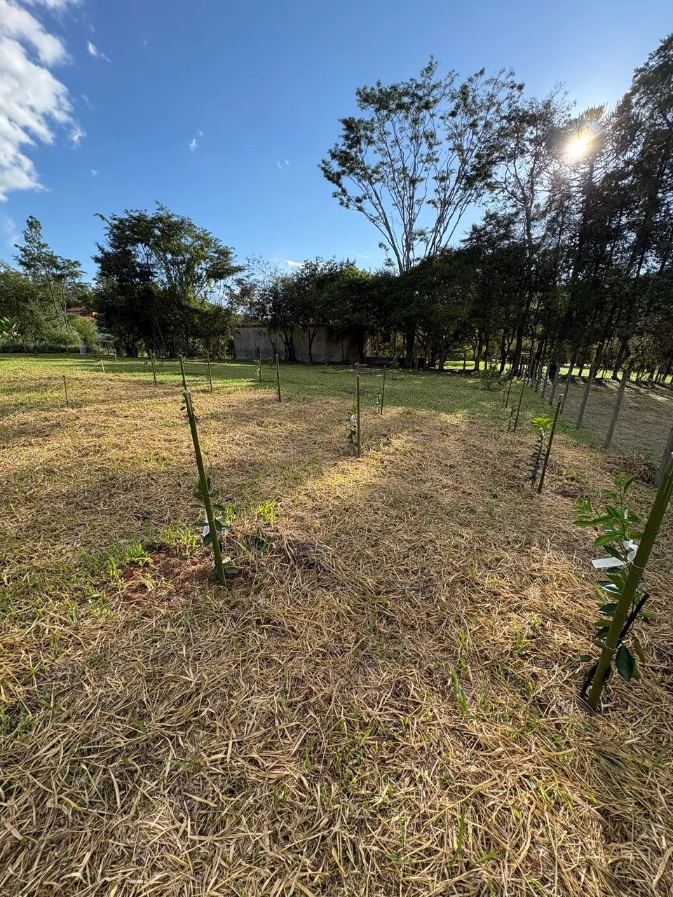 TERRENO PRONTO PARA CONSTRUIR  - Foto 4