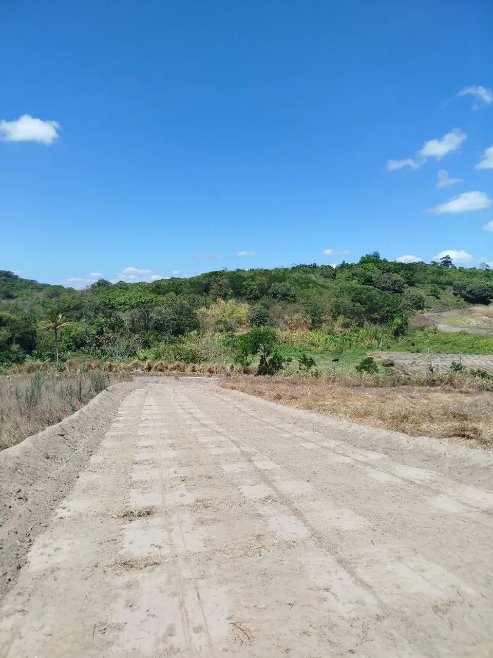 Terreno a venda  - Foto 4