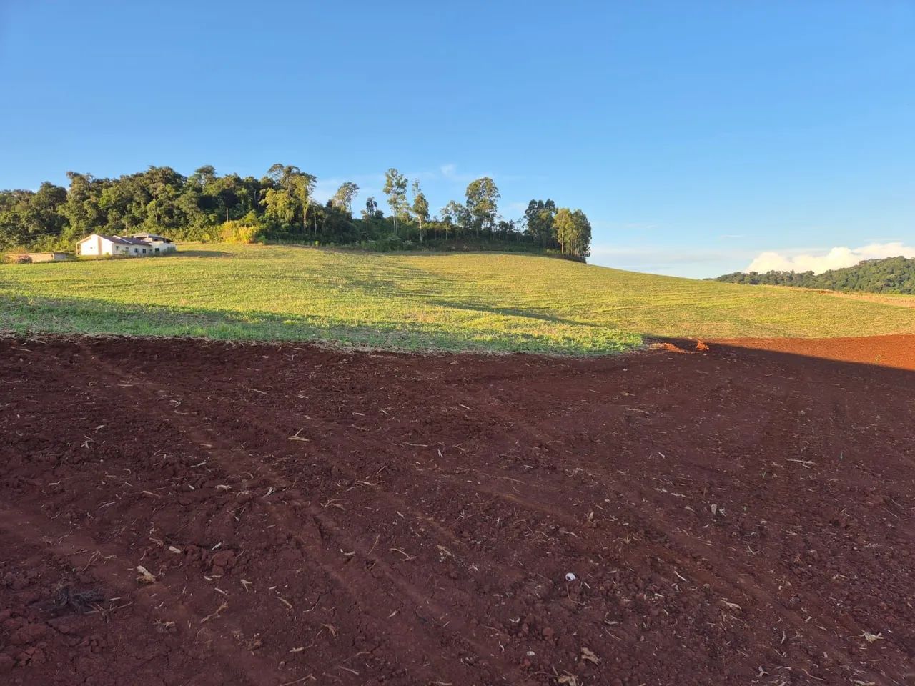 Vende-se área de 20.000m² em Chapecó  - Foto 2