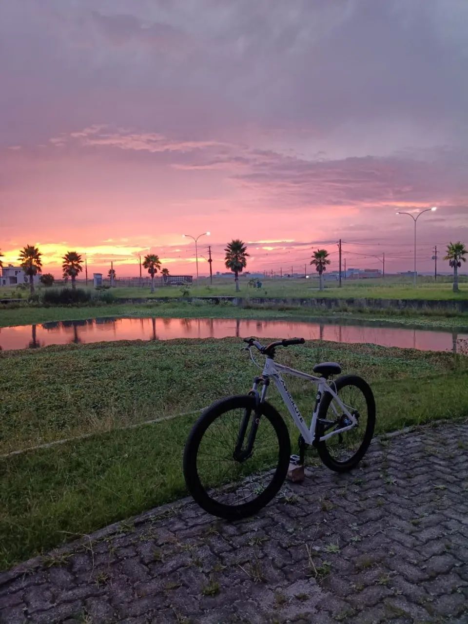 Vendo Bicicleta Absolute Nero 3 - Foto 4