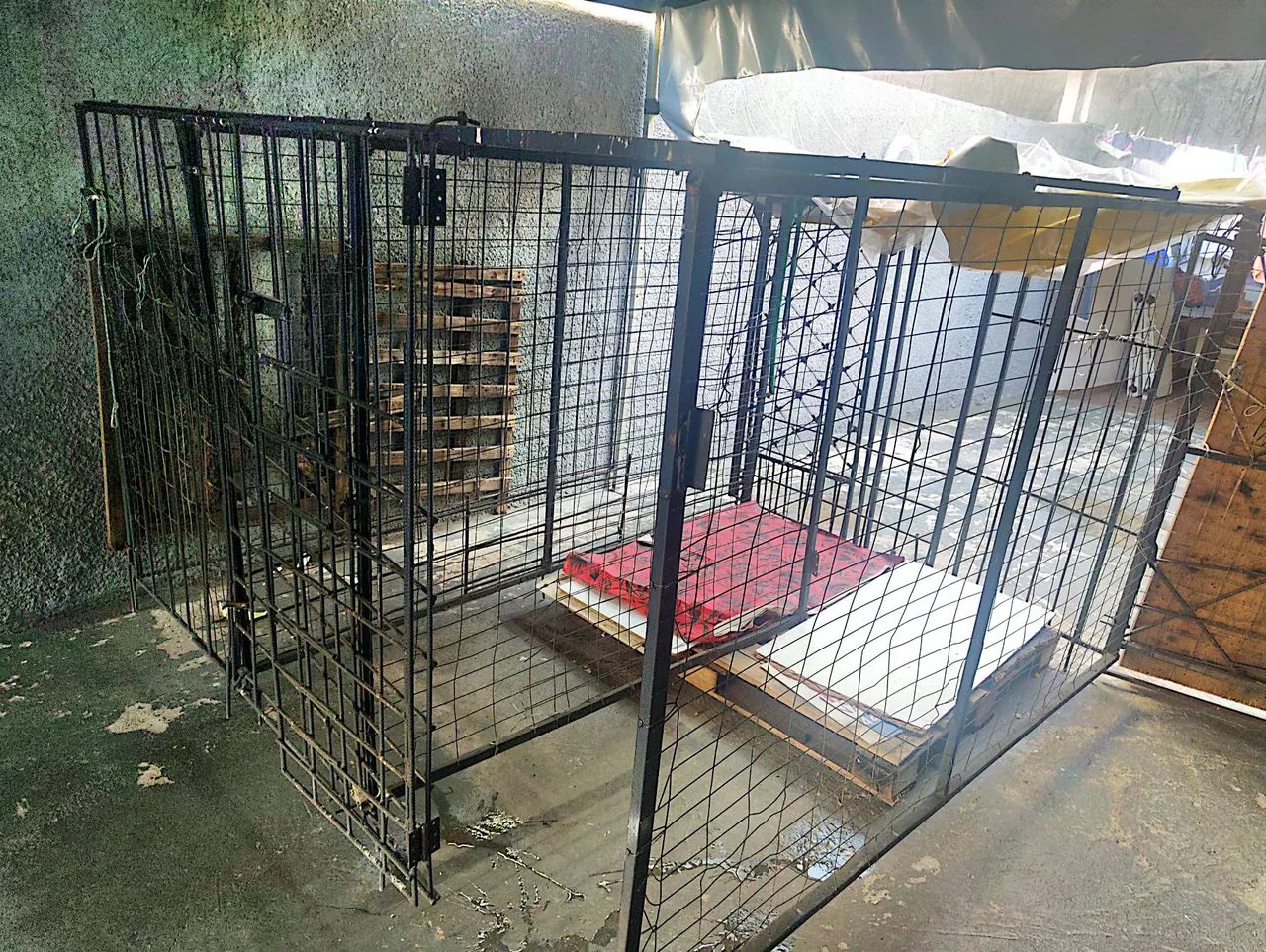 Vende-se canil  - Foto 4