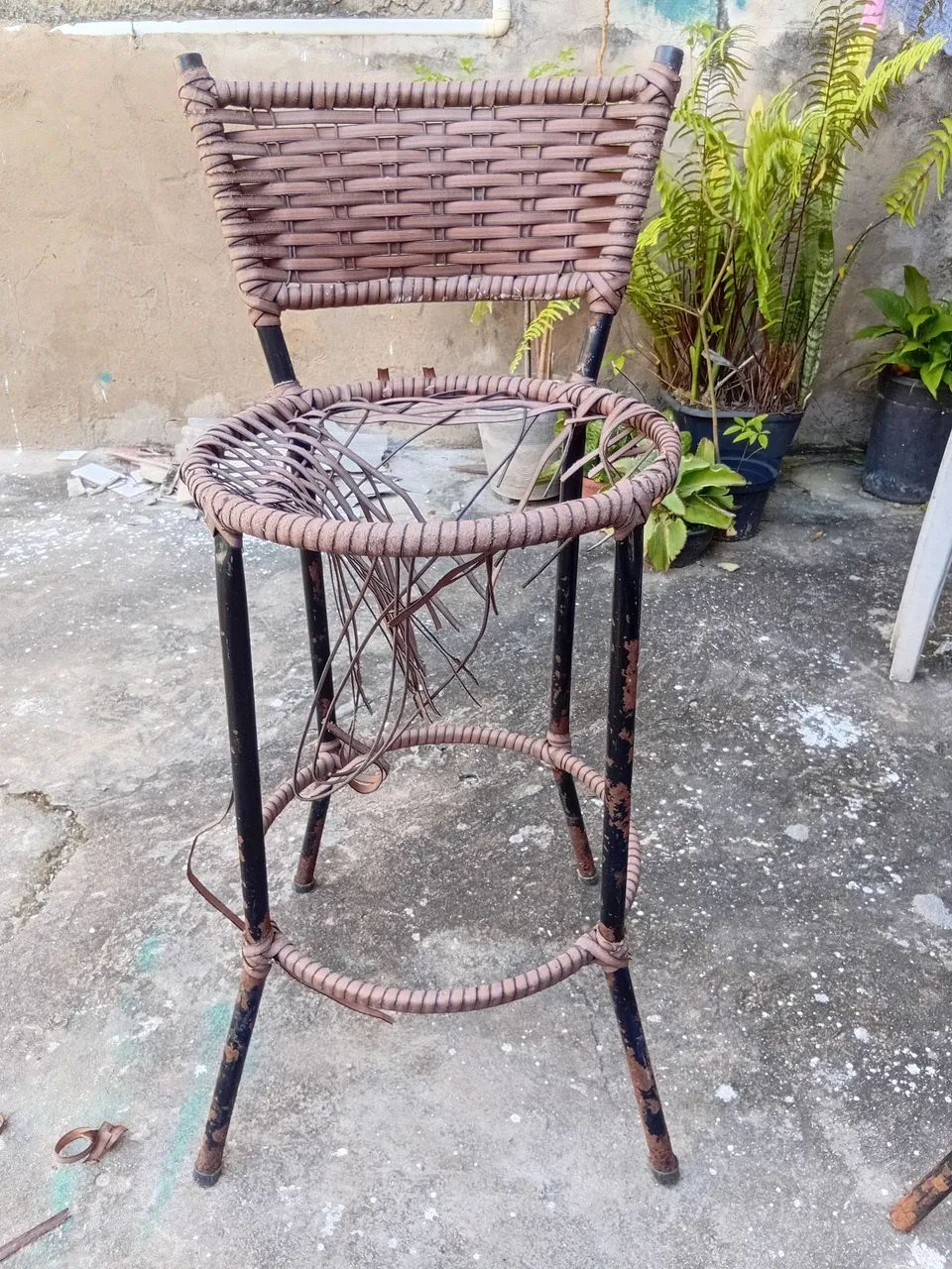 Banquete de fibra  - Foto 2