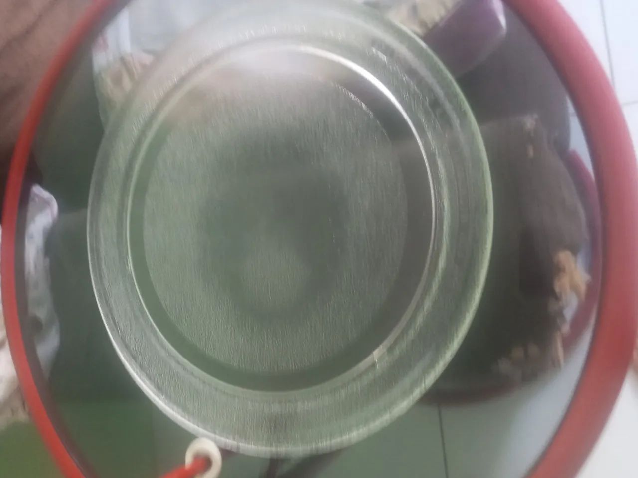 Prato de micro-ondas - Foto 4