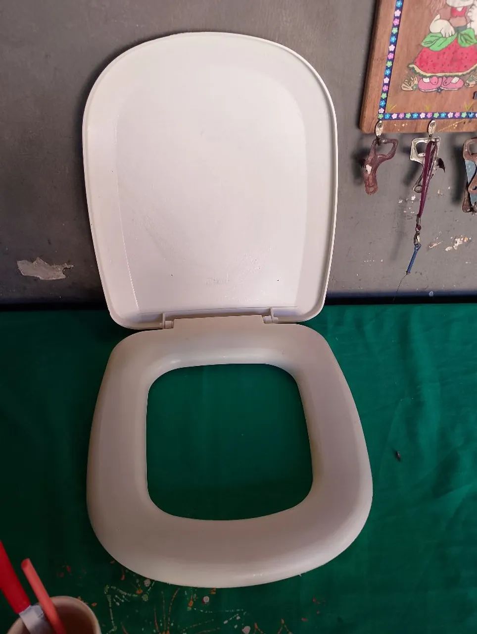 Toilet Seat