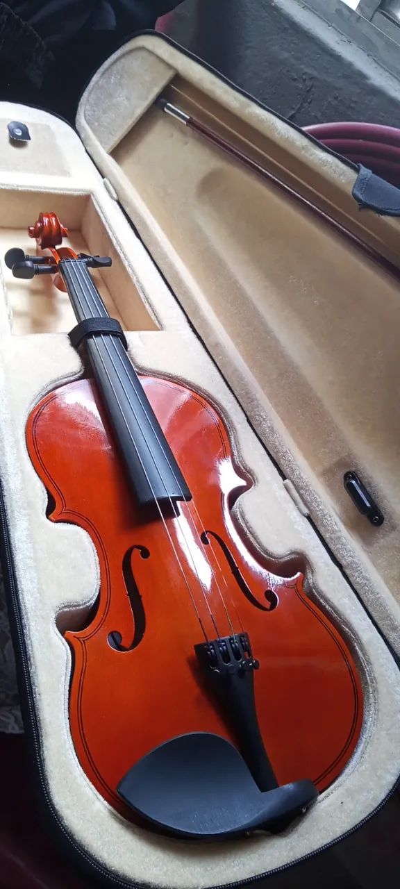 Violino Iniciante - Foto 4