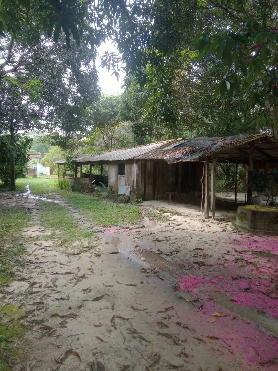 Está iterpa