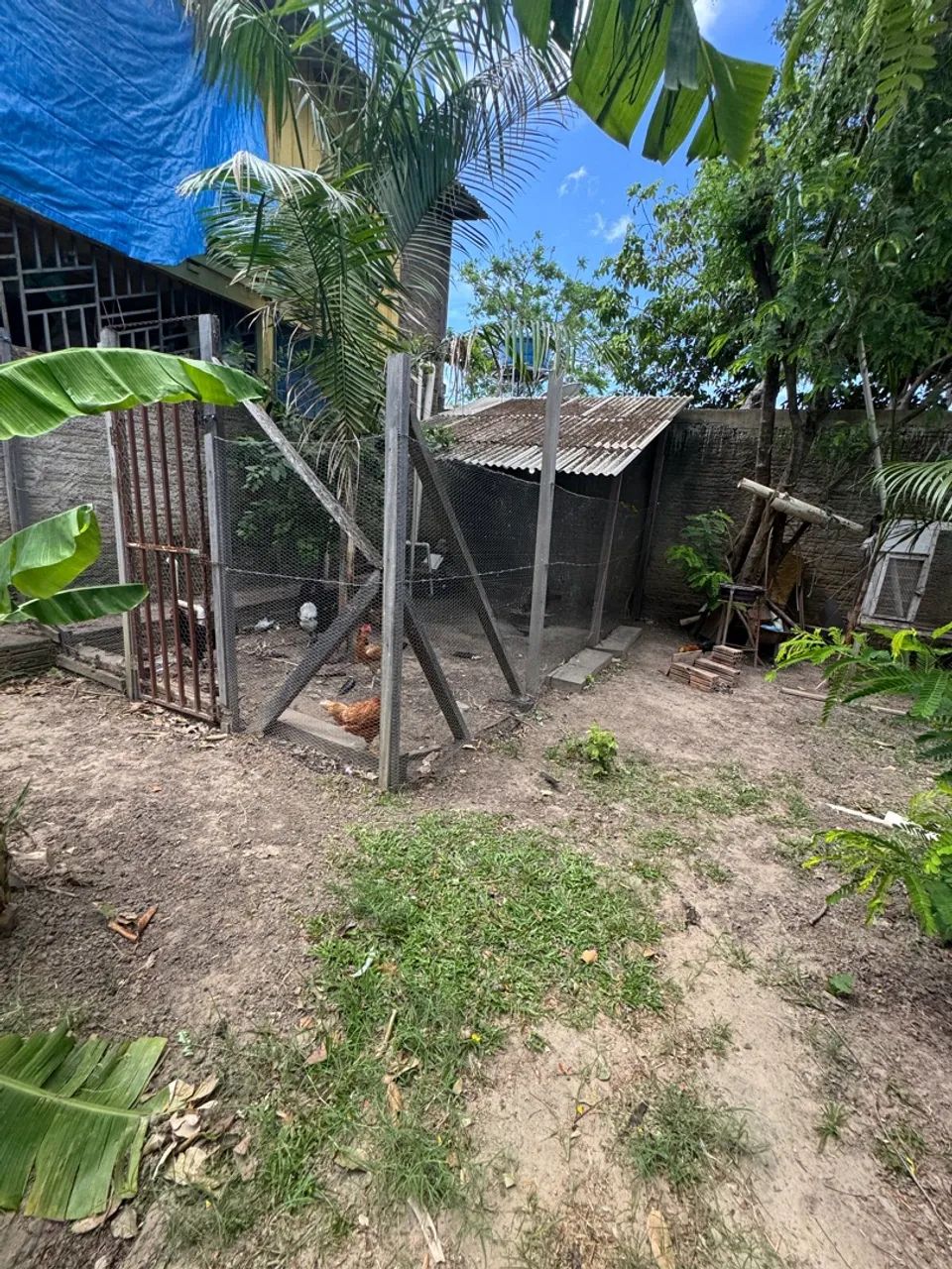 Sitio de fundo pro Rio Branco serra grnade 1 - Foto 5