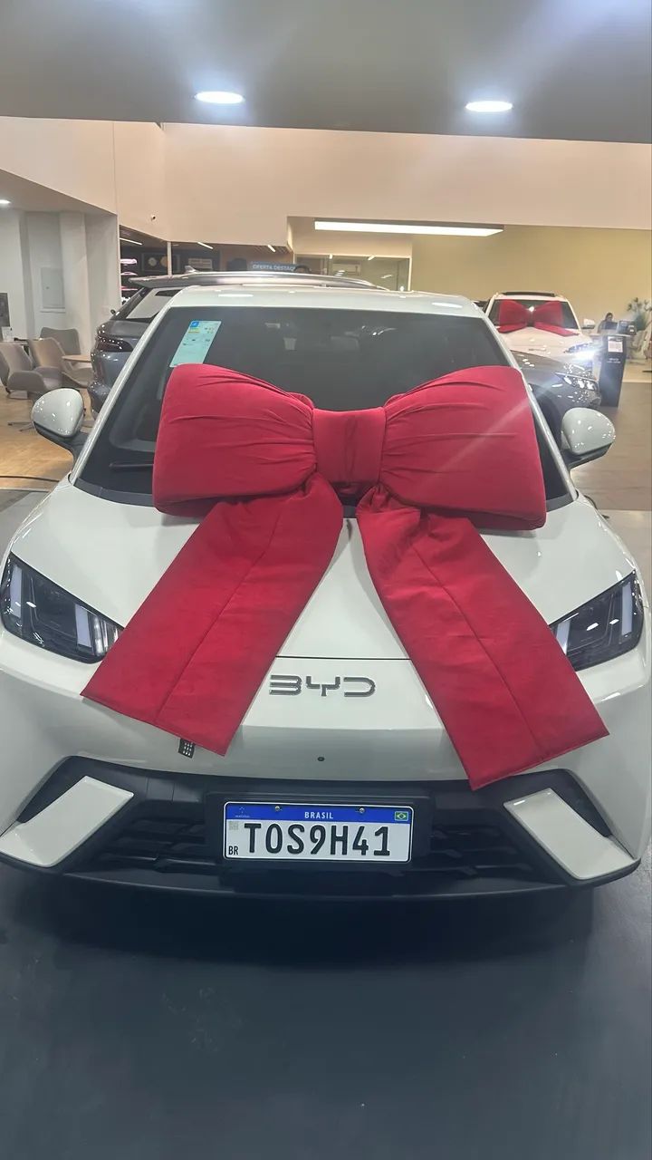 BYD Dolphin Mini (Elétrico) 2027 - Foto 3