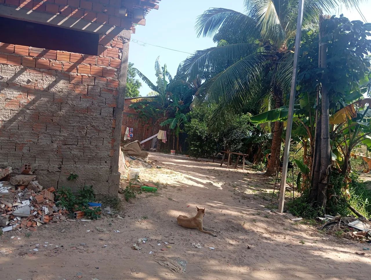 Casa - Foto 2
