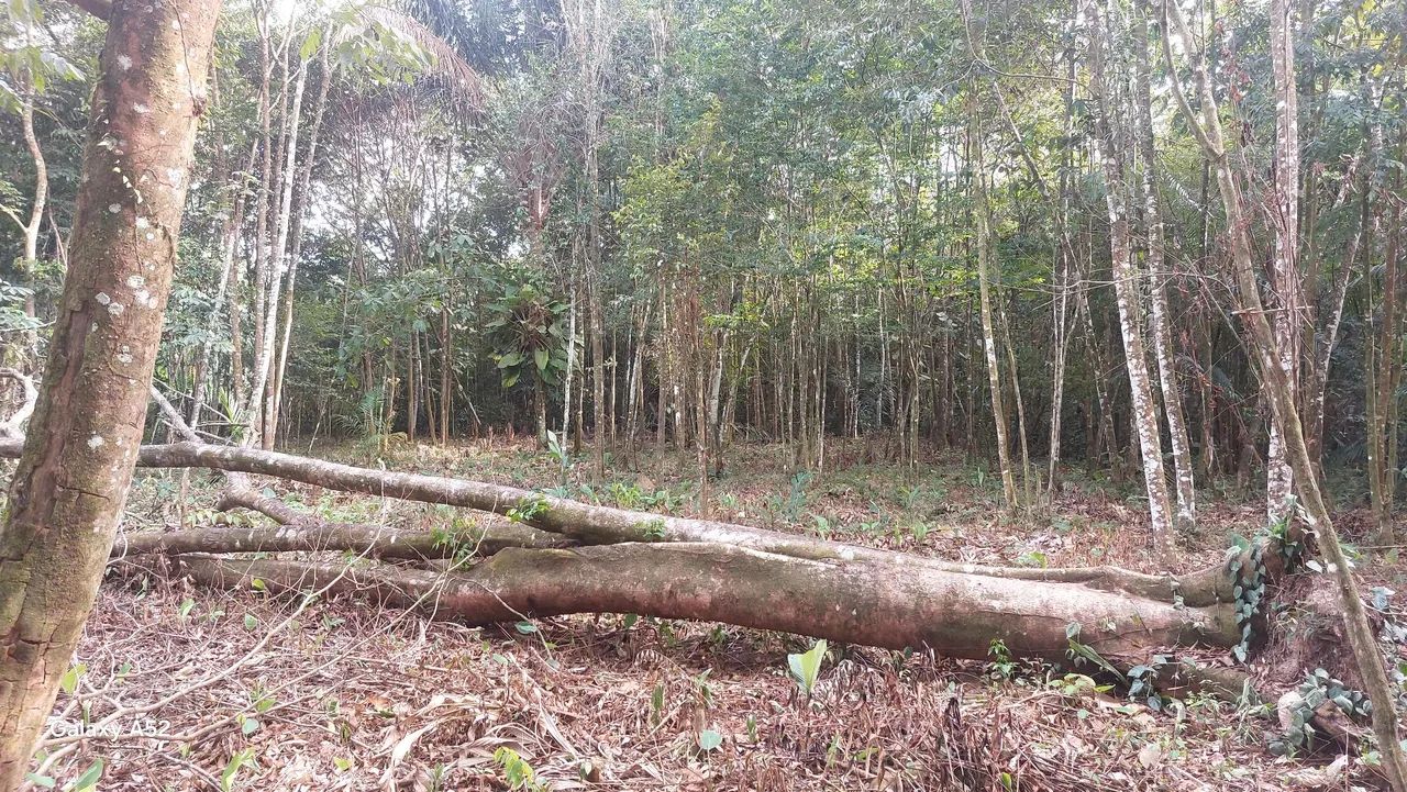 TERRENO CAIÇAUA - Foto 4