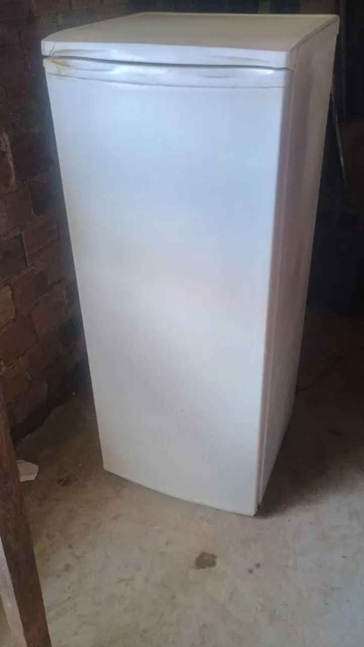 Geladeira eletrilux 