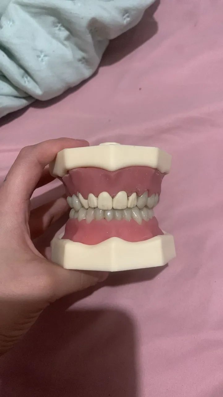 Manequim dentistica  - Foto 2
