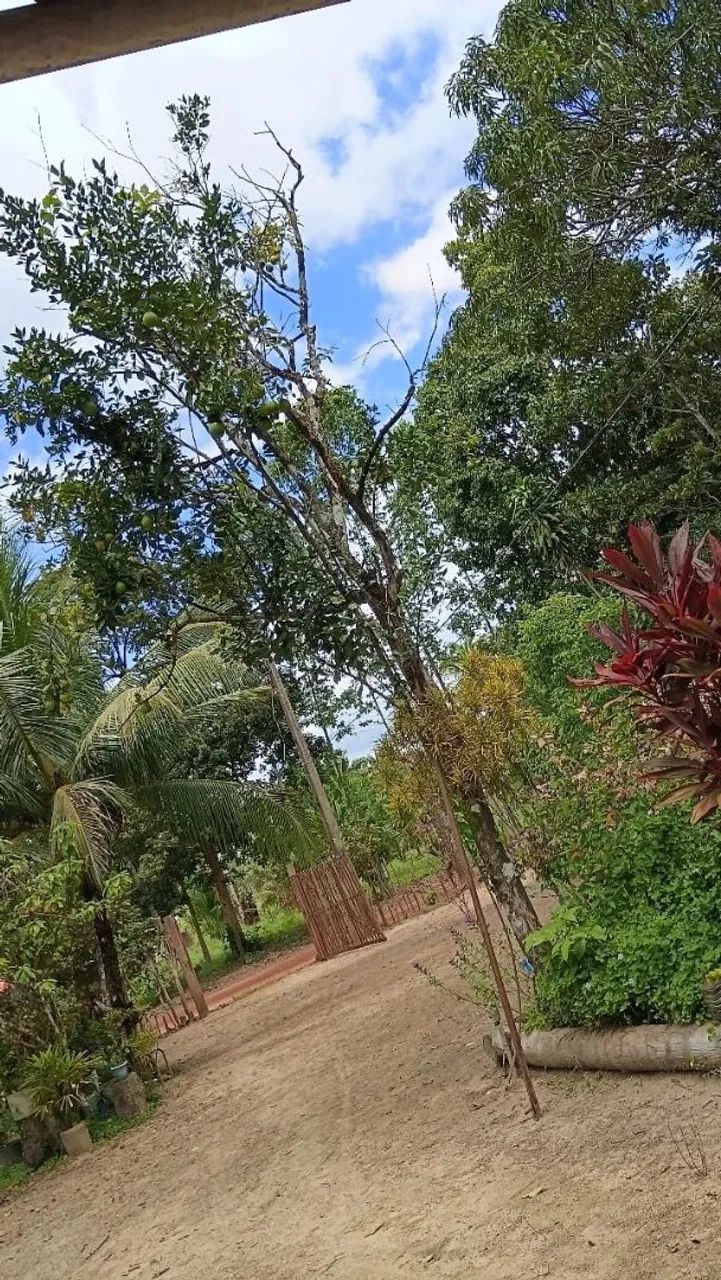 Vendo sítio, medindo 63x884 - Foto 4