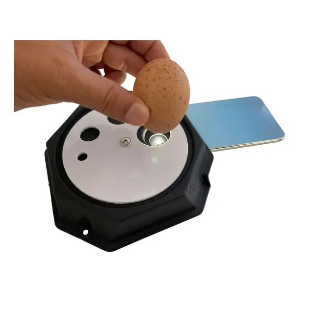 Chocadeira automática 240 ovos + Ovoscópio e água automática - Foto 2