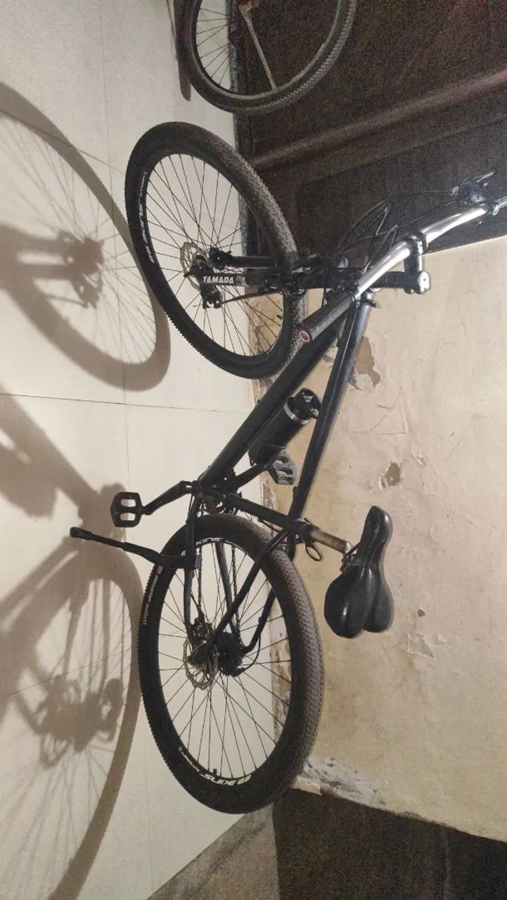 Aro 29 Absolut - Foto 4