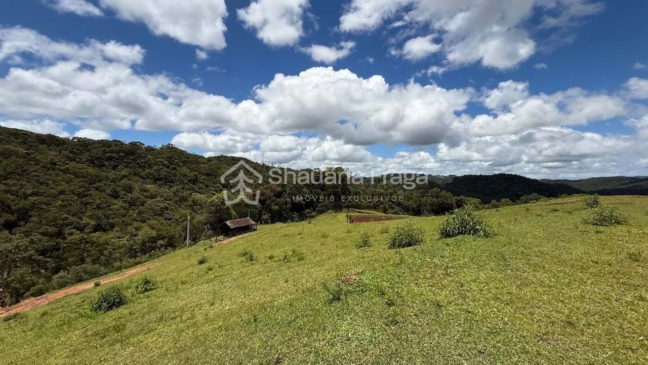 Terreno rural - Foto 4