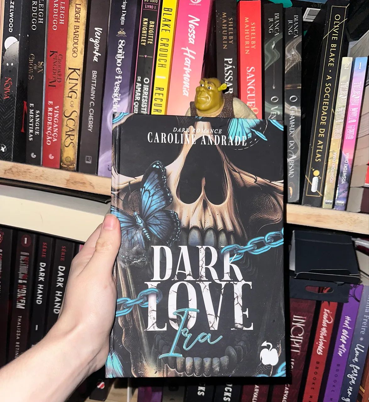Livros dark love ira, dark love caos da fruto proibido 