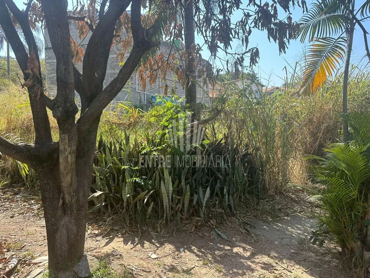 Terreno comercial a venda - Foto 3