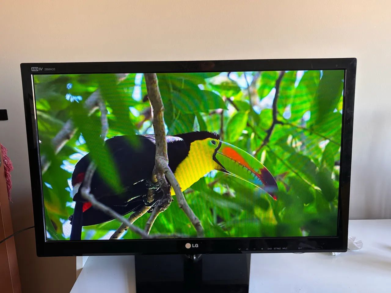 TV LG 26 polegadas 