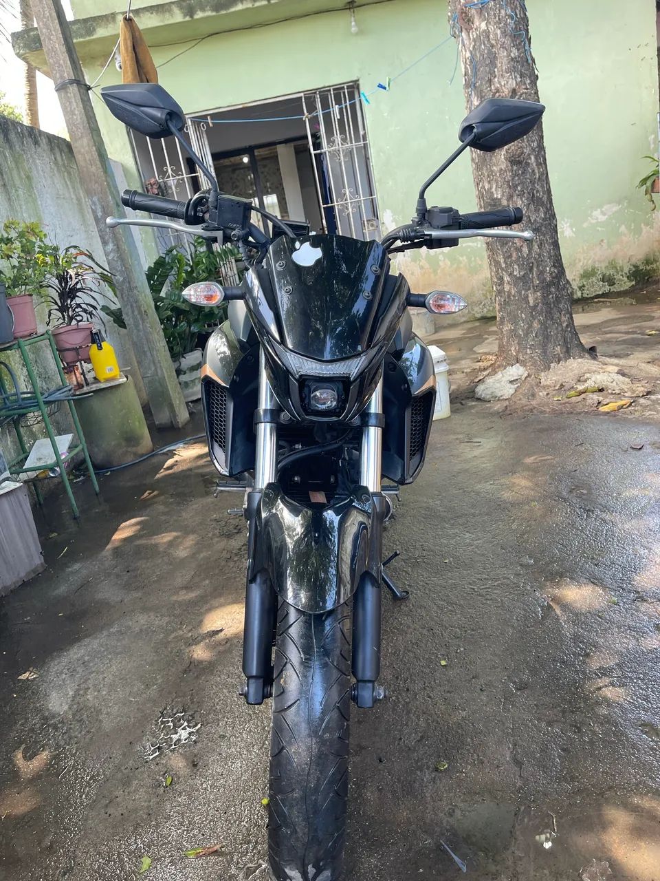 Fz 25 2024