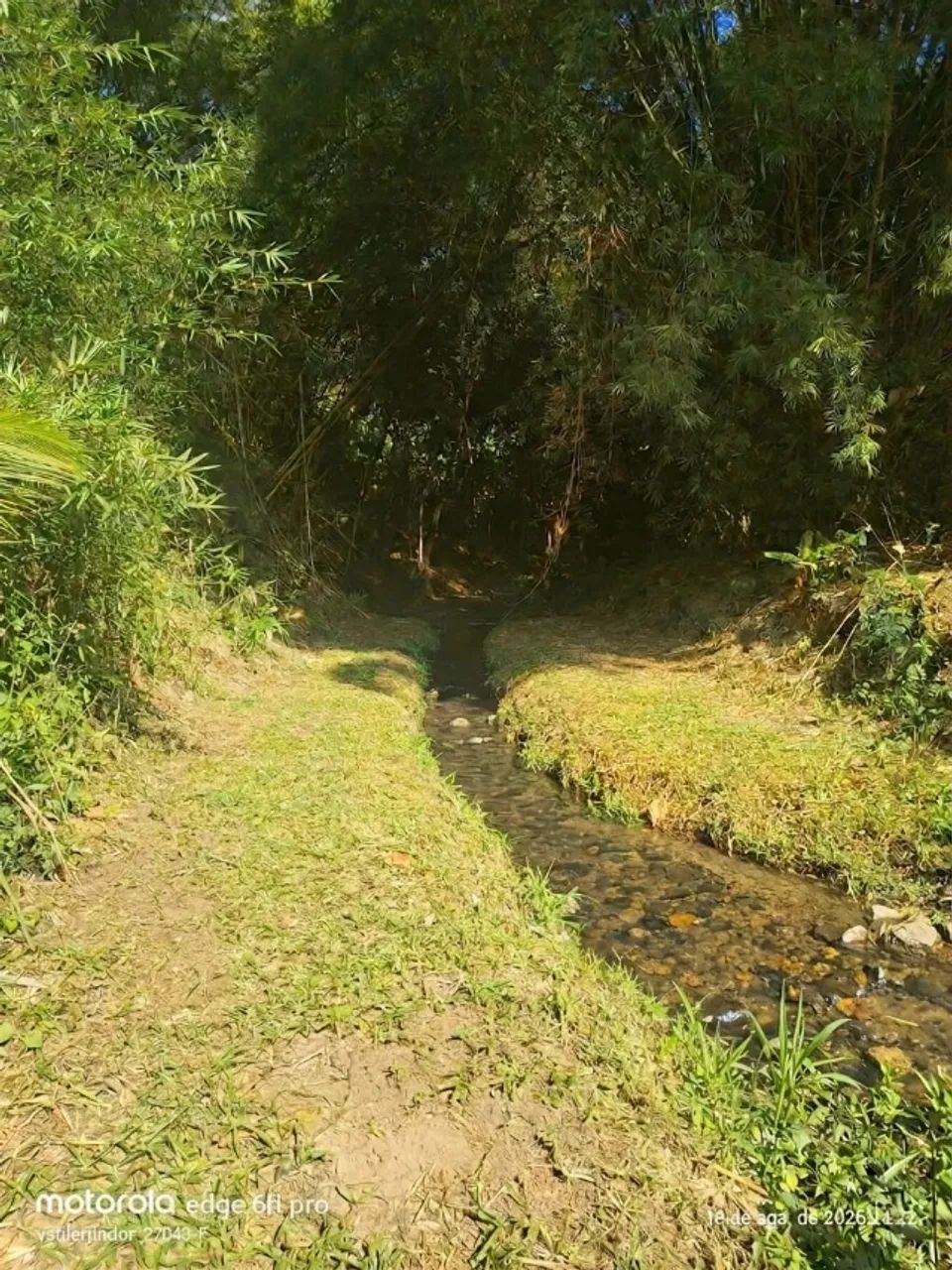 SITIO NO MUNICIO DE PACOTY - Foto 3