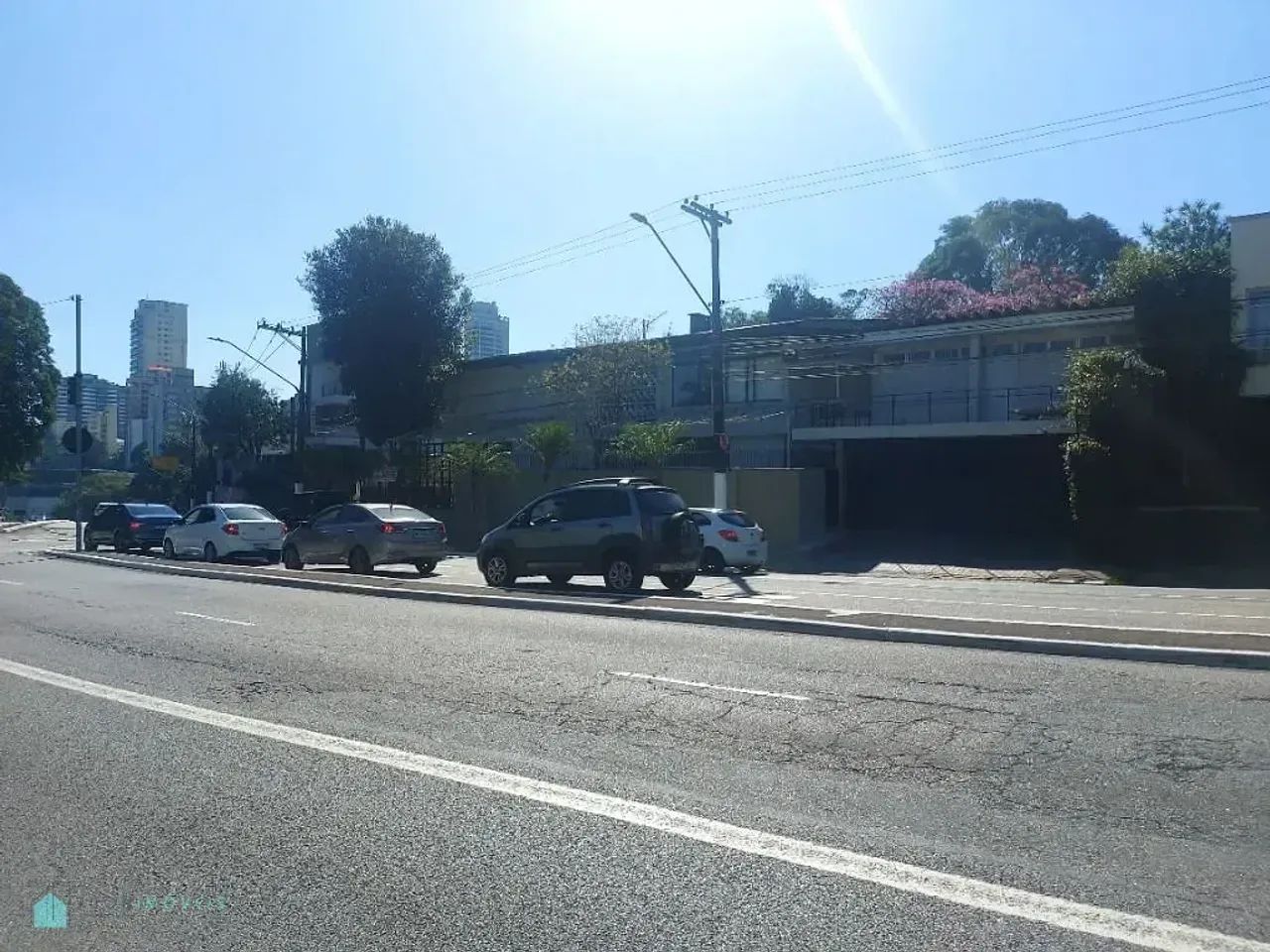 PERDIZES MARAVILHOSA!! - Foto 3