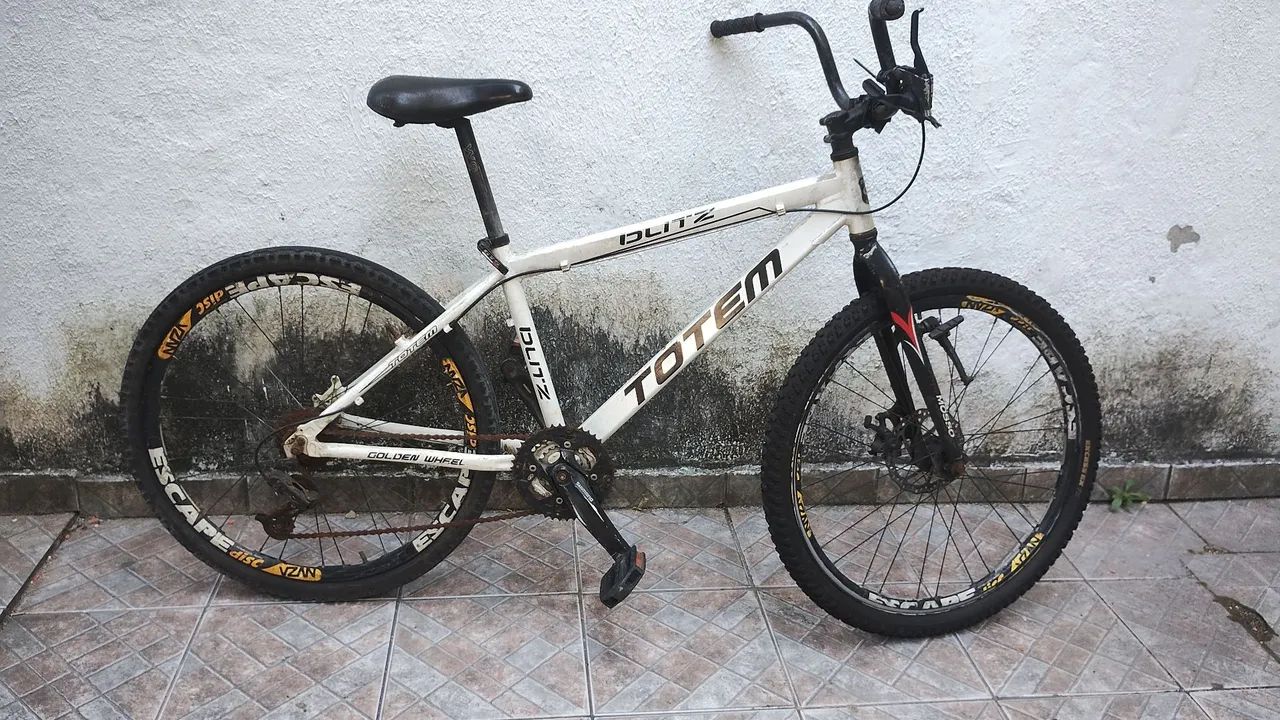 Bicicleta Galo Alumínio 