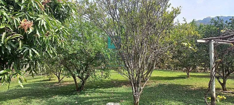 SÍTIO FORMADO COM MANGUEIRO COM FÁCIL ACESSO EM LORENA-SP - Foto 4