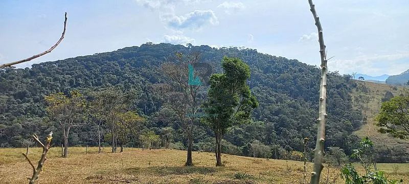 SÍTIO FORMADO COM MANGUEIRO COM FÁCIL ACESSO EM LORENA-SP - Foto 3