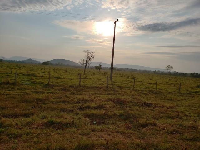 Fazenda pecuária R$ 12.000,00 por HA - Foto 2