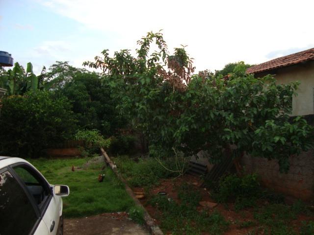 Barracão Pq,Sta Cecília,Ap-Go - Foto 7