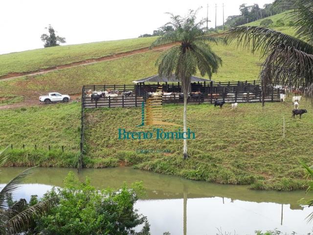Fazenda à venda, 4200000 m² por R$ 5.200.000,00 - Ubaitaba - Ubaitaba/BA - Foto 7