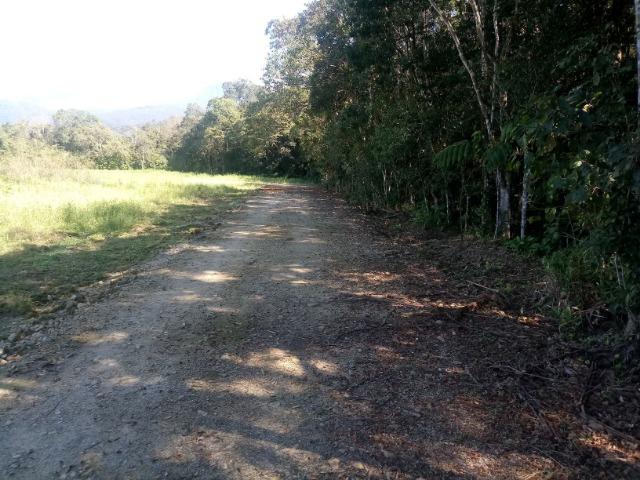 Chácara - Raia Velha - Morretes - Foto 9
