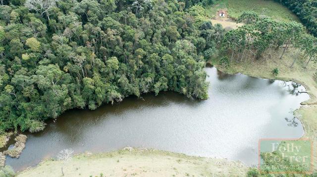Fazenda com 588,71 hectares, situada na estrada Friburgo-Teresópolis, na altura de Vieira - Foto 10