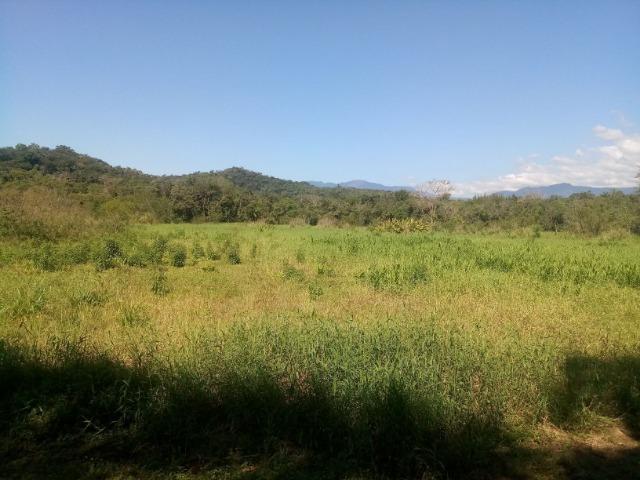 Chácara - Raia Velha - Morretes