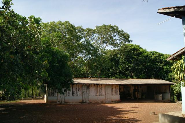Fazenda 70 hectares á venda á 16km de Cuiabá - Foto 9