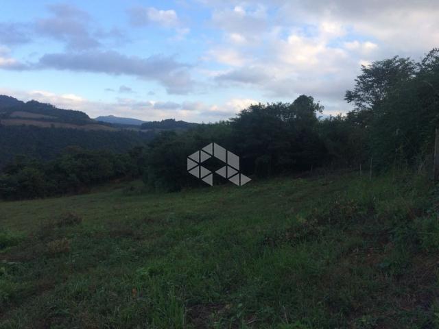 Chácara à venda em São luiz de castro, Boa vista do sul cod:9904527 - Foto 17