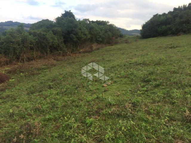 Chácara à venda em São luiz de castro, Boa vista do sul cod:9904527 - Foto 16