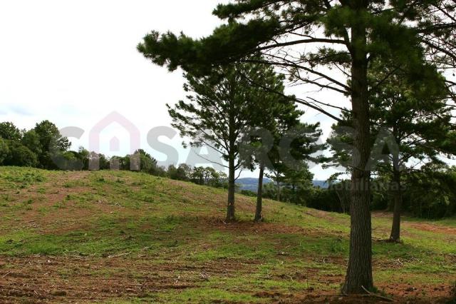 Terreno à venda em Fazenda souza, Caxias do sul cod:302 - Foto 2