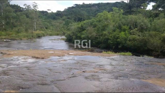 Terreno à venda em Primeiro distrito, São francisco de paula cod:BT6511 - Foto 5