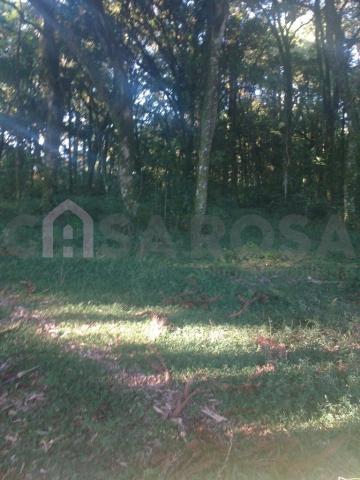 Terreno à venda em Ana rech, Caxias do sul cod:905 - Foto 4
