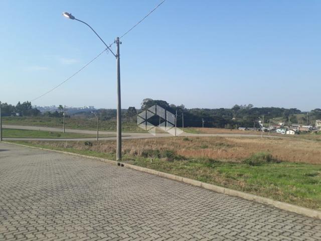 Terreno à venda em Borguetto, Garibaldi cod:9909319 - Foto 5
