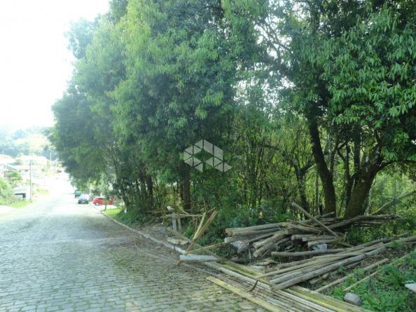 Terreno à venda em Santo antão, Bento gonçalves cod:9908551 - Foto 3