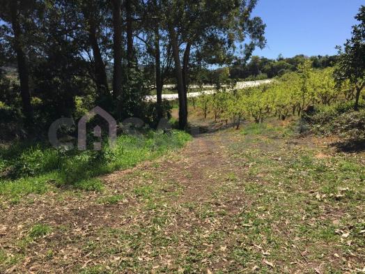 Terreno à venda em Ana rech, Caxias do sul cod:612 - Foto 8