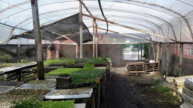 Terreno à venda em Pioneiro, Caxias do sul cod:644 - Foto 6
