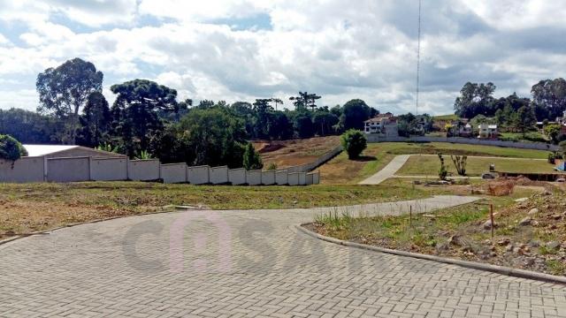Terreno à venda em Nossa senhora da saude, Caxias do sul cod:2125 - Foto 12