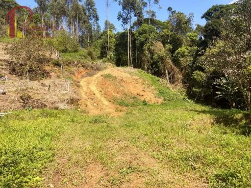 Sítio à venda em Ribeirão souto, Pomerode cod:1875 - Foto 7
